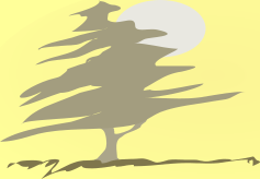 pp13f363d9.png